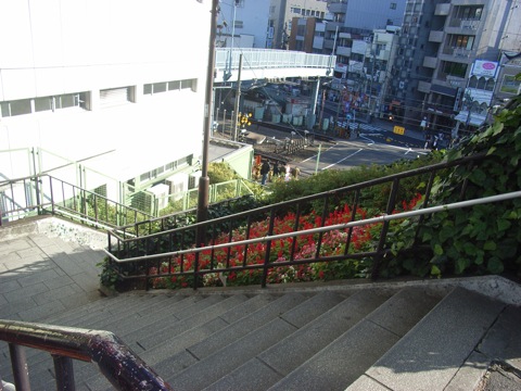 ノバガーデン代々木の写真 20枚目