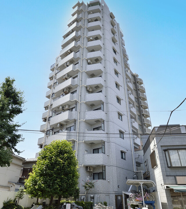 ライオンズプラザ白山の写真 4枚目