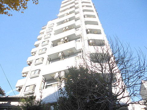 ライオンズプラザ白山の写真 11枚目