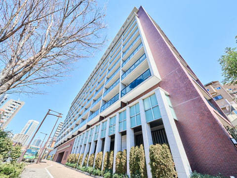 シティテラス代々木公園の写真 14枚目