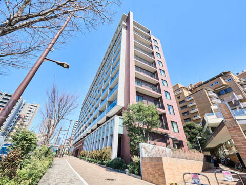 シティテラス代々木公園の写真 15枚目