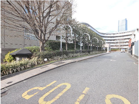 三田清風ガーデンの写真 11枚目