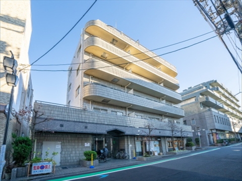 サンヒルズ田園調布の写真 13枚目