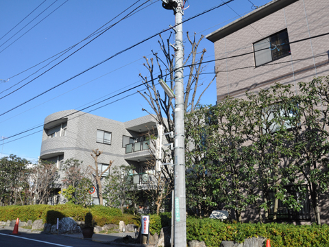 エクレールガーデン深沢の写真 13枚目