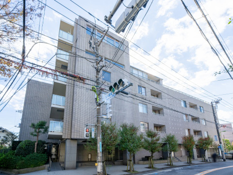 等々力グランドヒルズの写真 11枚目