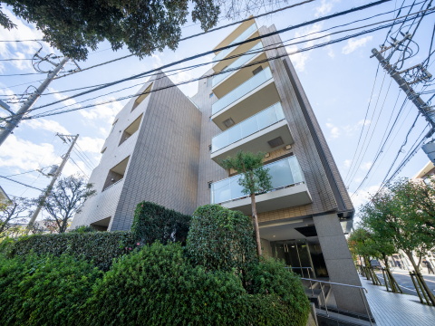 等々力グランドヒルズの写真 13枚目