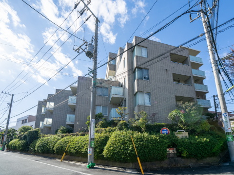 等々力グランドヒルズの写真 14枚目