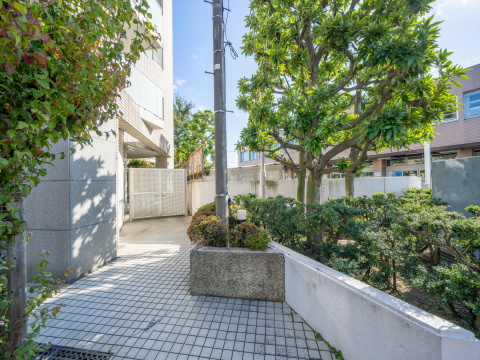 等々力グランドヒルズの写真 18枚目