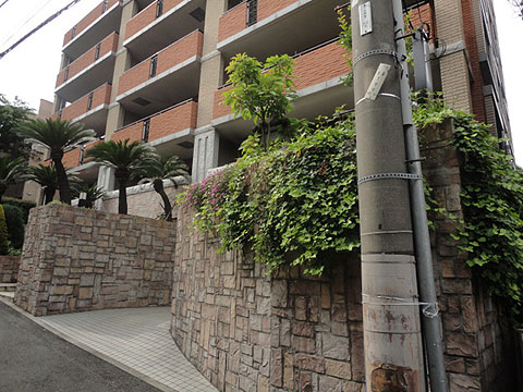 グランシャトレ本駒込の写真 9枚目