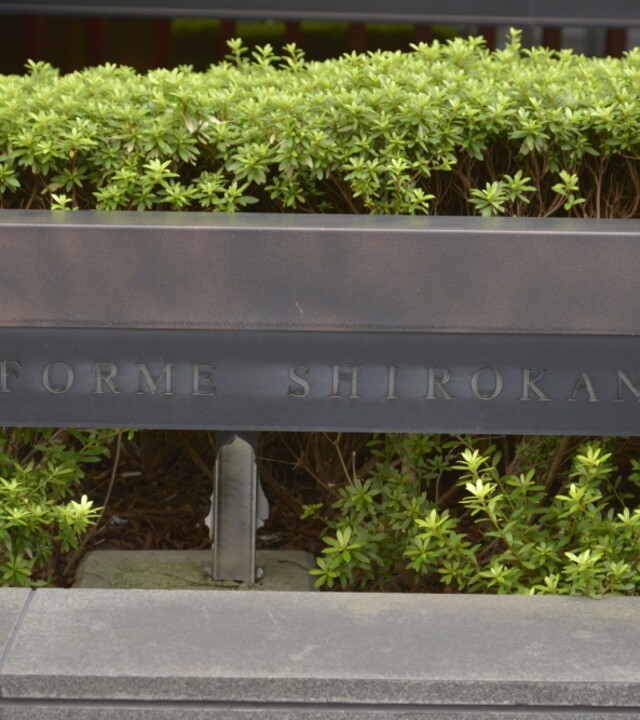 フォルム白金の写真 4枚目