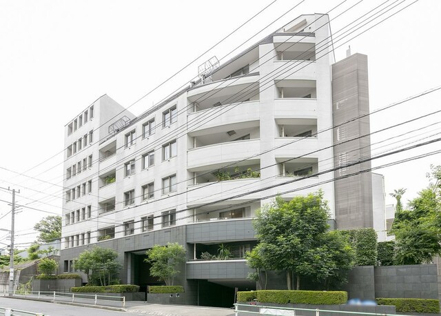 フォルム白金の写真 6枚目