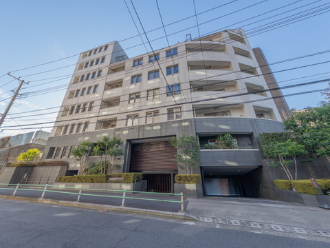 フォルム白金の写真 11枚目