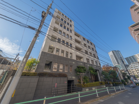 フォルム白金の写真 14枚目