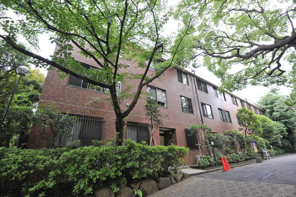 多摩川テラスの写真 3枚目