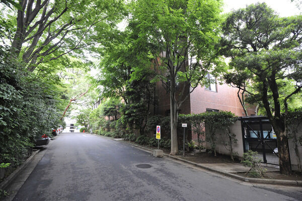 多摩川テラスの写真 5枚目