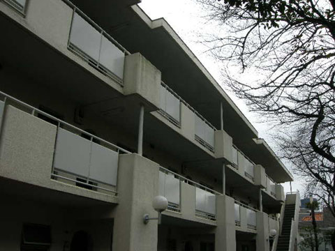 等々力パークホームズの写真 11枚目