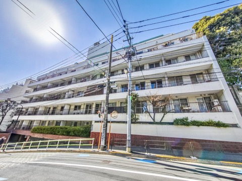 鳥居坂三生マンションの写真 13枚目