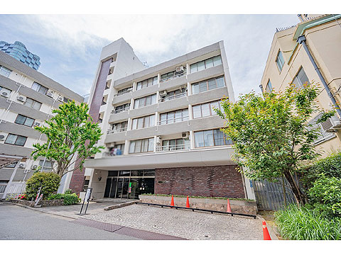 ニュー赤坂コーポラスの写真 13枚目