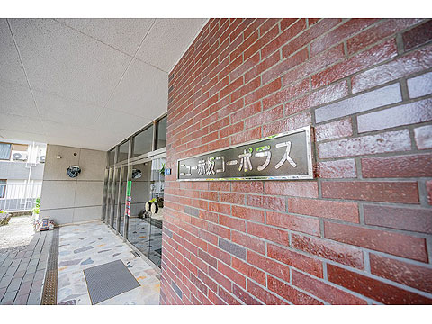 ニュー赤坂コーポラスの写真 14枚目