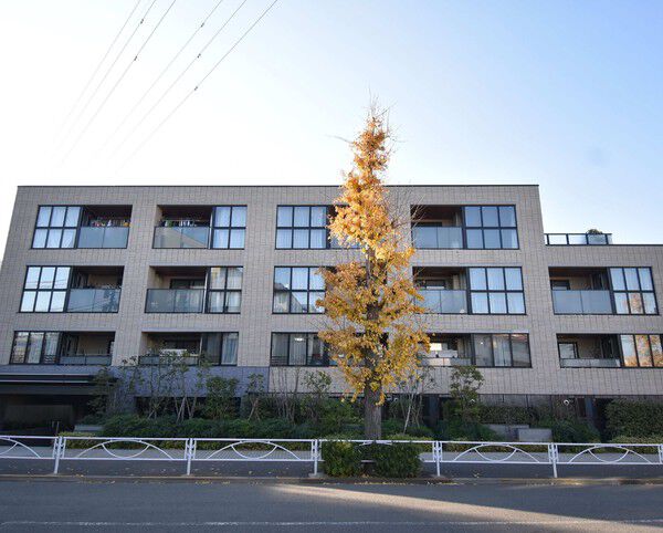 リストレジデンス等々力の写真 3枚目