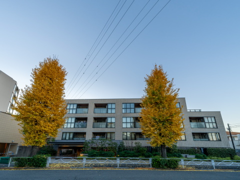 リストレジデンス等々力の写真 14枚目