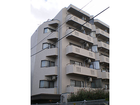 パーセル大山町の写真 11枚目