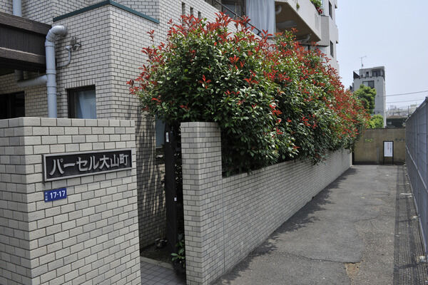 パーセル大山町の写真 7枚目