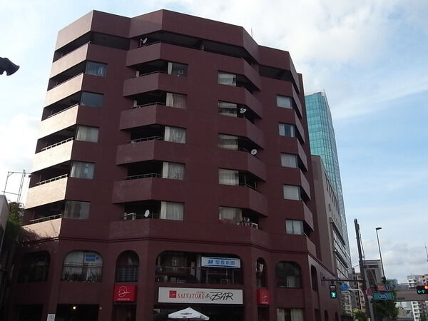 ライオンズマンション白金東の外観写真 - 港区白金1丁目29番9号