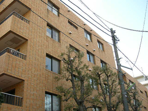 東高ペアシティルーセント成城の写真 12枚目