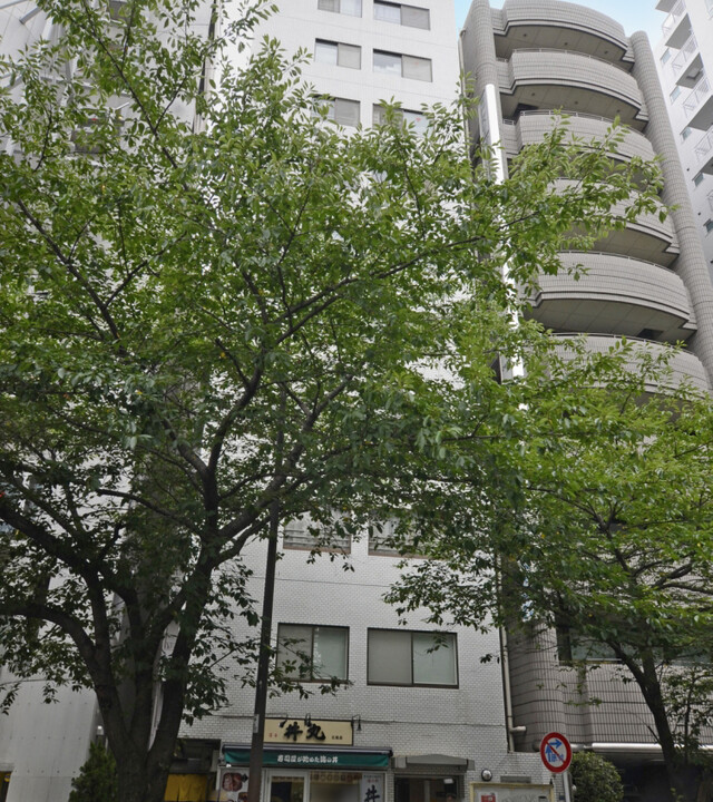 日興パレス広尾プラザの写真 3枚目