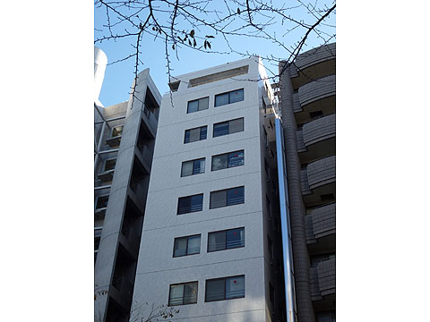 日興パレス広尾プラザの写真 11枚目