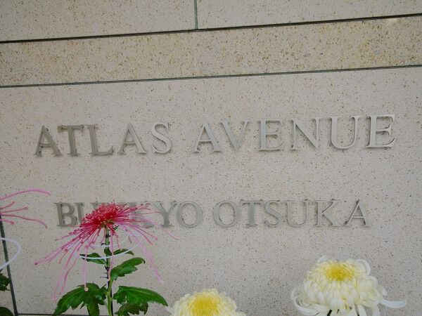 アトラスアベニュー文京大塚の写真 8枚目