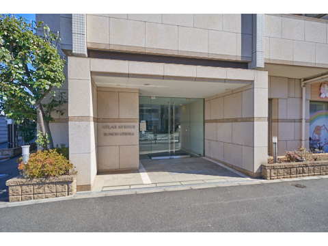 アトラスアベニュー文京大塚の写真 15枚目