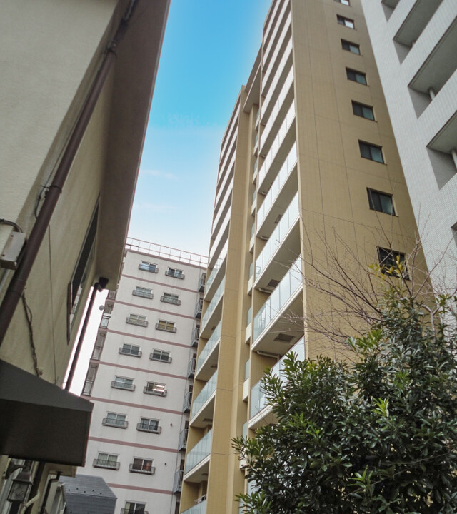 イニシアイオ西麻布の写真 6枚目