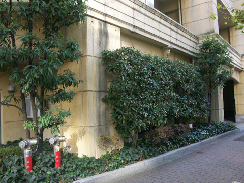 アルシオン文京小石川の写真 20枚目