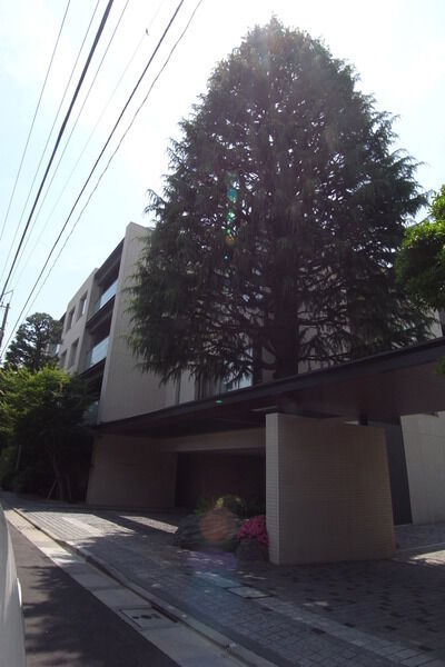 代々木パークハウスプライムヒルズの写真 9枚目