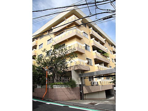 新坂マンションの写真 11枚目