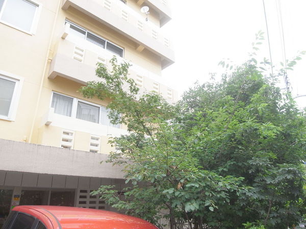 新坂マンションの写真 7枚目
