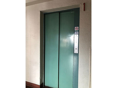 フローラ原宿の写真 10枚目