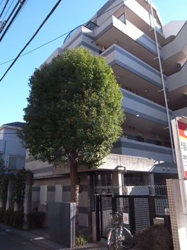 クレッセント白金の写真 12枚目