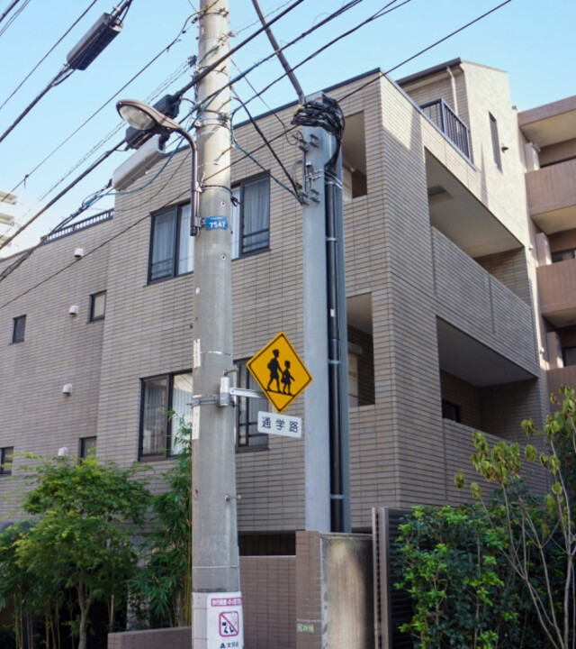 アデニウム文京本駒込の写真 7枚目