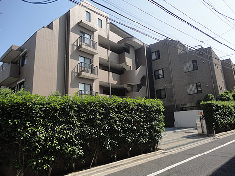 アデニウム文京本駒込の写真 14枚目