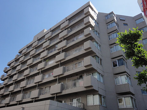 藤和護国寺コープの写真 11枚目