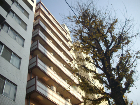 セントヒルズ白山の写真 9枚目