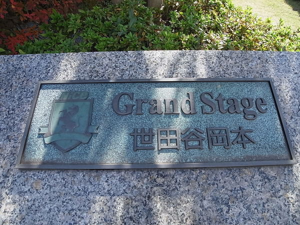 ナイスグランドステージ世田谷岡本の写真 9枚目