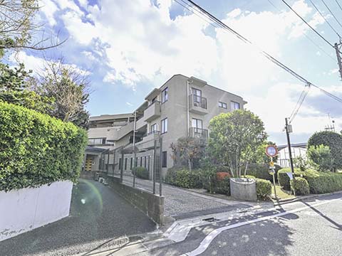 ナイスグランドステージ世田谷岡本の写真 11枚目