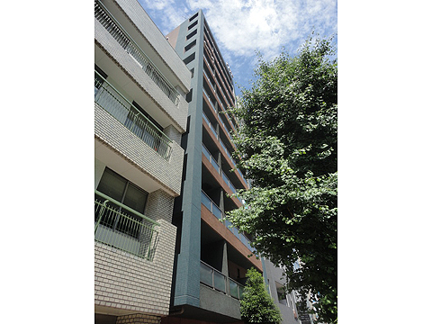 シンシア御茶ノ水の写真 7枚目