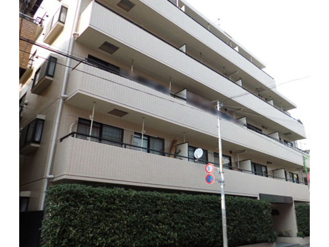 アルファホームズ深沢の写真 10枚目