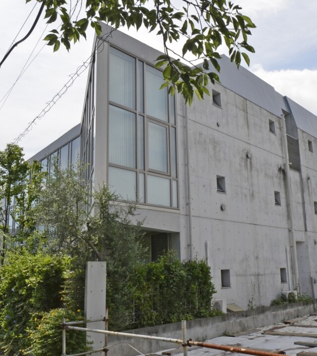 サクラミラの写真 6枚目