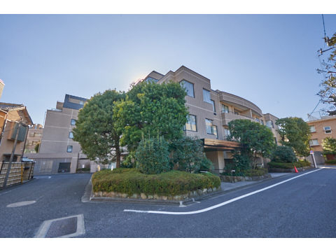 小石川グランドヒルズの写真 11枚目